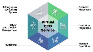 CFO Services for Small Business