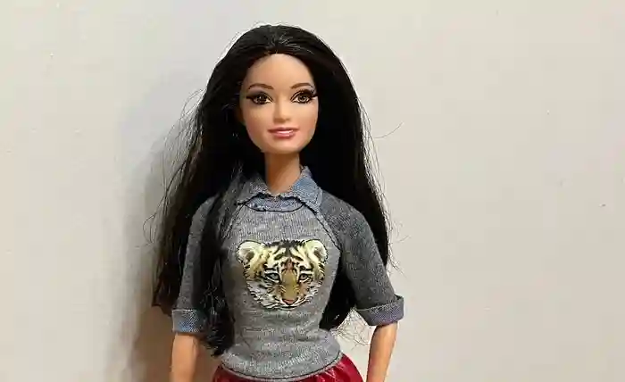 Raquelle Barbie Doll