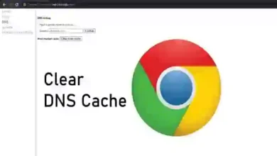chrome //net-internals/#dns clear