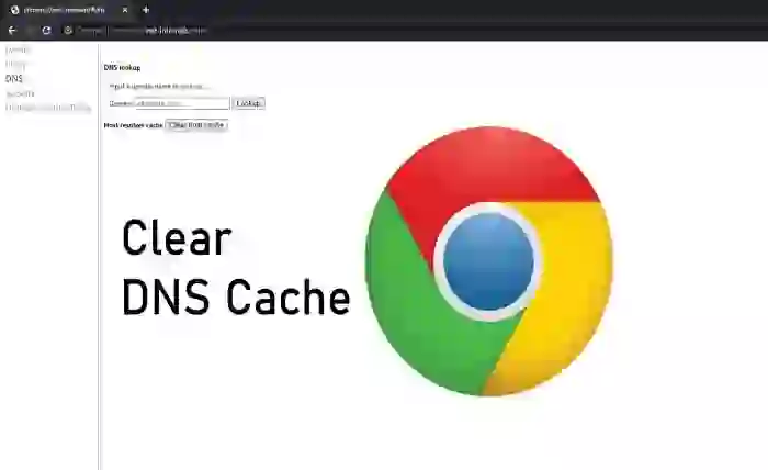 chrome //net-internals/#dns clear