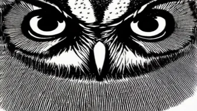 owl manga