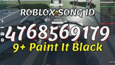 paint it black roblox id