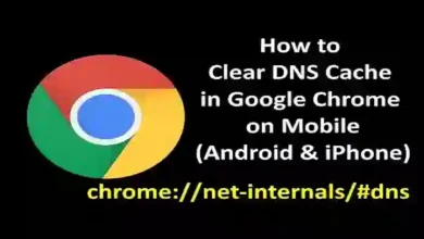 chrome //net-internals/#dns mobile
