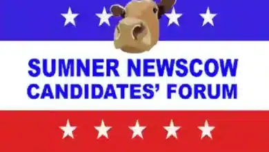 sumner news cow