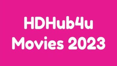 hdhub4u movie