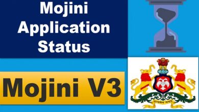 mojini v3