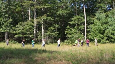 trails carolina investigation