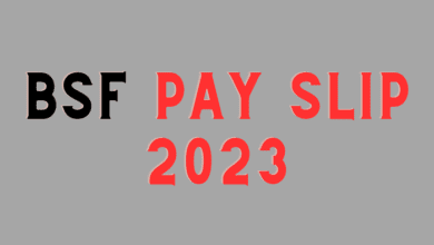 BSF Pay Slip