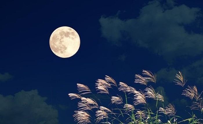 isn't the moon lovely