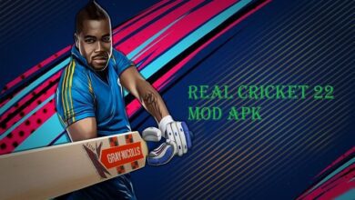 real cricket 22 mod apk