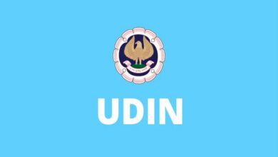 UDIN