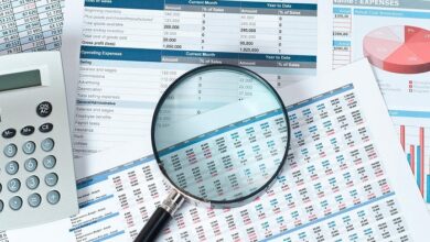 Statement Analysis Software