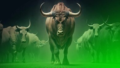 Bull Markets