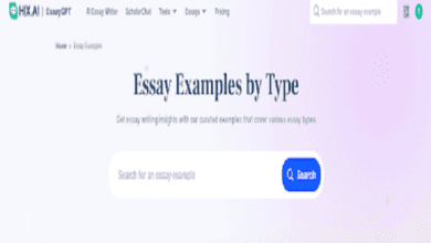 Essay Examples by Type
