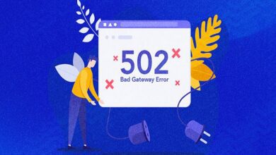 502 Bad Gateway Error