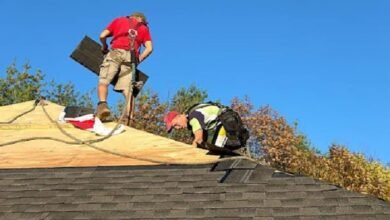 Repair or Replace Your Roof