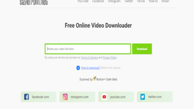 MP4 Videos