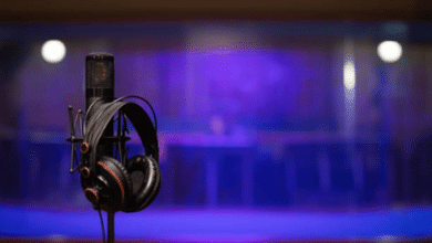 Earphones