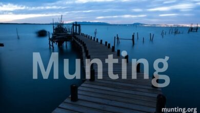 munting meaning