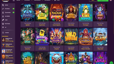 สล็อตค่าย