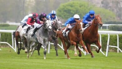 arcenturf turf 365 pronostic