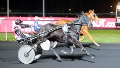 pmumalin du jour base incontournable