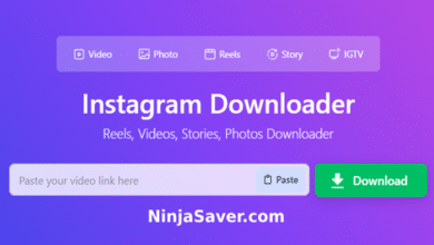 snapinsta video downloader