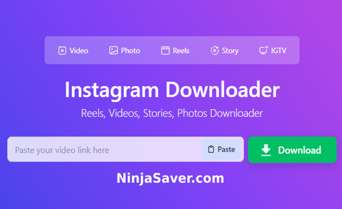 snapinsta video downloader