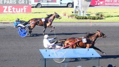 zeturf commentaires live