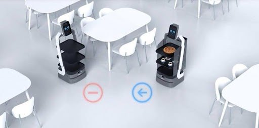 Food Delivery Robots