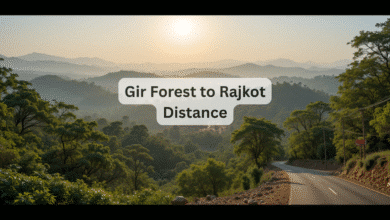 Gir Forest to Rajkot Distance: Best Routes, Travel Tips & Guide