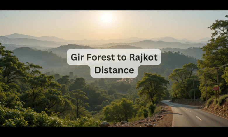 Gir Forest to Rajkot Distance: Best Routes, Travel Tips & Guide