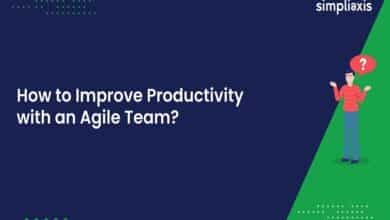 Agile Team