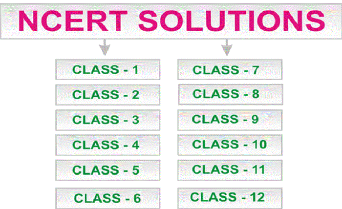 NCERT Solutions
