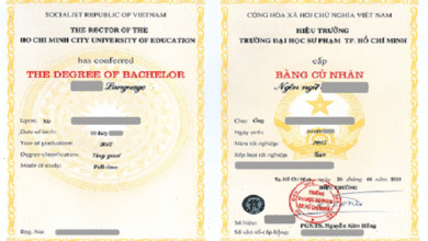 University Degree