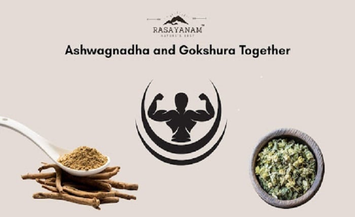 Gokshura