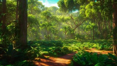 Jungle