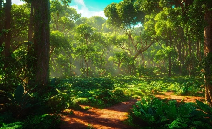 Jungle