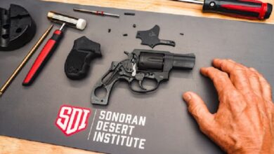 Sonoran Desert Institute