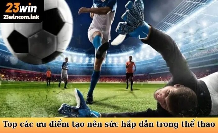 23win