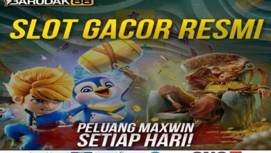 Bonus New Member 100