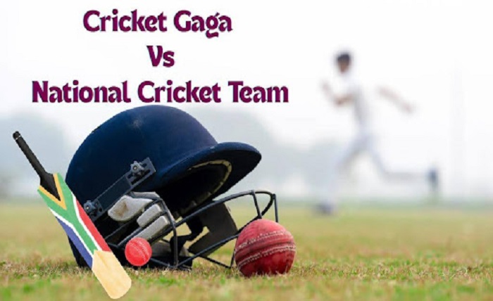 Cricket Gaga