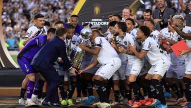 South American Leagues