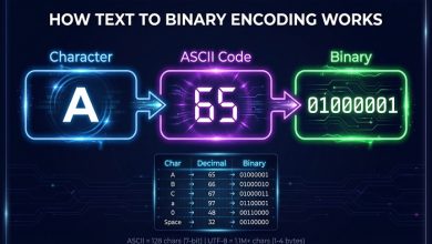 Binary Calculator