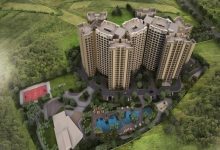 Whitefield