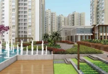 Whitefield