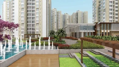 Whitefield