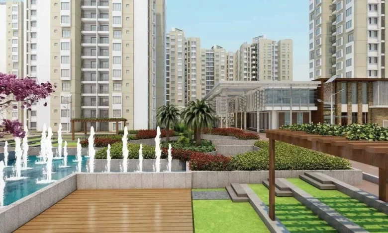 Whitefield