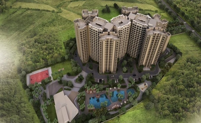 Whitefield