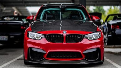 Insurance